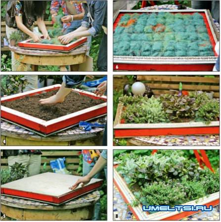 Картины из живых растений