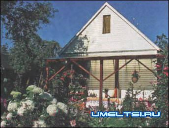 Солнечная терраса Солнечная терраса