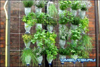 Поделки из пластиковых бутылок для сада и огорода