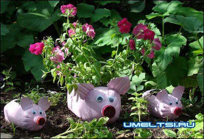 цветочник-свиньи из бутылок