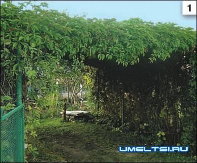 Обустройство парковки на даче Обустройство парковки на даче