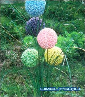 цветы цветы