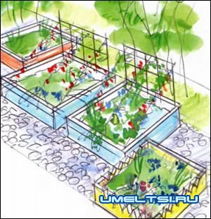 поднятые грядки поднятые грядки