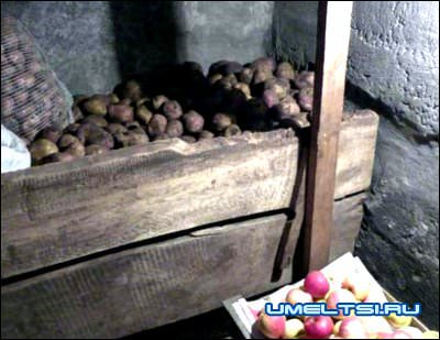 В сухом подвале и овощи и фрукты хорошо хранятся В сухом подвале и овощи и фрукты хорошо хранятся