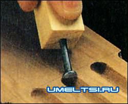 цикля цикля