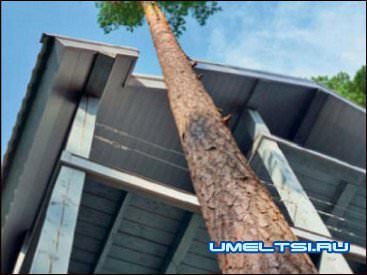 когда строите-берегите природу когда строите-берегите природу