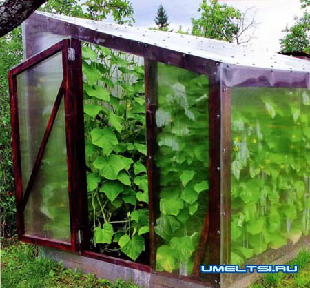 готовая теплица из поликарбоната