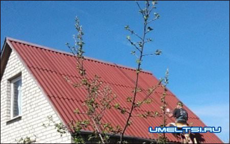 покраска шифера своими руками покраска шифера своими руками