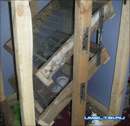 Инкубатор в домашних условиях