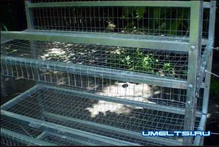 Клетки для перепелов Клетки для перепелов