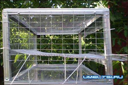 Клетки для перепелов Клетки для перепелов