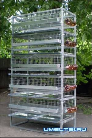 Клетки для перепелов-поилки Клетки для перепелов-поилки