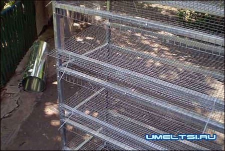 Клетки для перепелов Клетки для перепелов