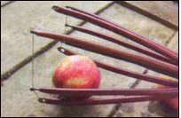 плодосъемник своими руками