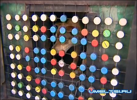 Декор забора Декор забора