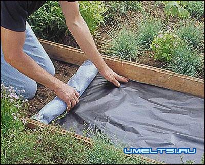 дорожка с плитняка застилка геотекстилем