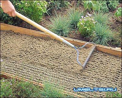 дорожка с плитняка засыпаем песком