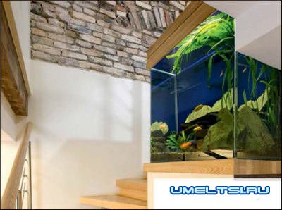 аквариумы в интерьере аквариумы в интерьере