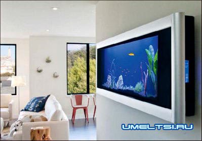аквариумы в интерьере аквариумы в интерьере