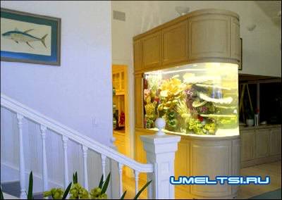 аквариумы в интерьере аквариумы в интерьере