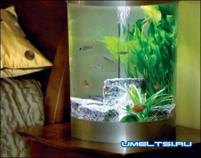 аквариумы в интерьере в спальне аквариумы в интерьере в спальне