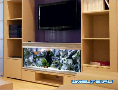аквариумы в интерьере гостиной аквариумы в интерьере гостиной