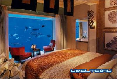 аквариумы в интерьере в спальне аквариумы в интерьере в спальне