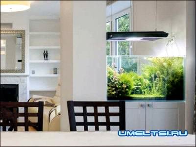 аквариумы в интерьере гостиной аквариумы в интерьере гостиной