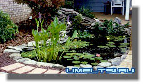 Построение приусадебного пруда