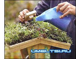 насыпка корма насыпка корма