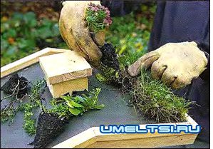 обустройство крыши кормушки обустройство крыши кормушки