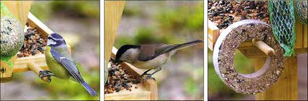 птицы прилетели к кормушке, фото птицы прилетели к кормушке, фото