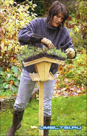 Кормушка для птиц своими руками Кормушка для птиц своими руками