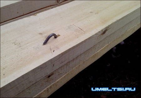 технология строительства каркасного дома технология строительства каркасного дома