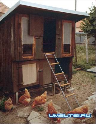 Курятник своими руками фото Курятник своими руками фото
