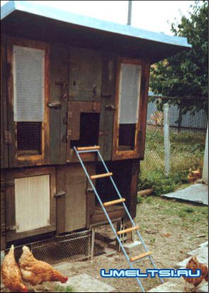 Курятник своими руками фото Курятник своими руками фото