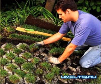 Садовые дорожки из решетчастых блоков