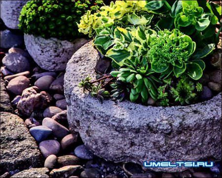 Бетонные кадки своими руками