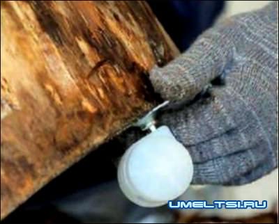 Кофейный столик-пенек своими руками Кофейный столик-пенек своими руками