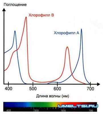 Светодиодная подсветка рассады Светодиодная подсветка рассады
