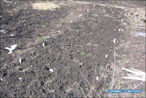 Парник из пластиковых труб Парник из пластиковых труб