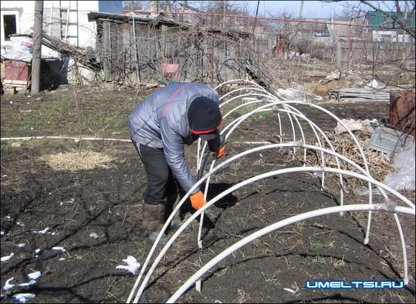 Парник из пластиковых труб Парник из пластиковых труб