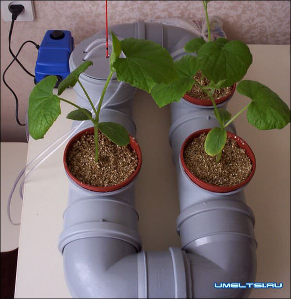 гидропонная установка гидропонная установка