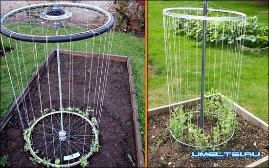 идеи для сада