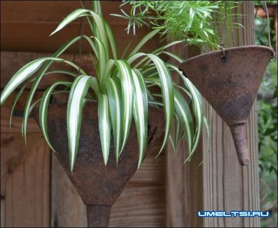 идеи для сада