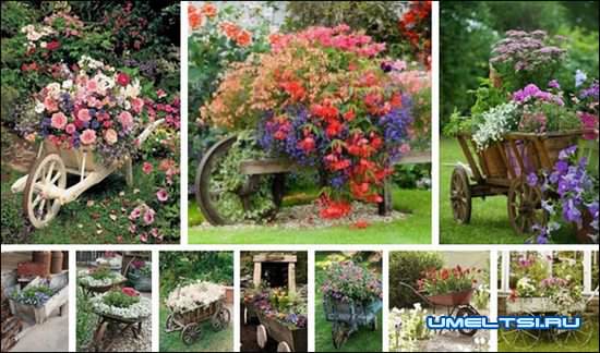 идеи для сада