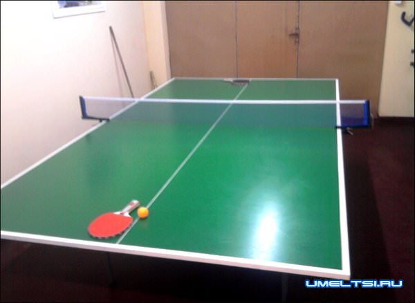 Стол для тенниса Стол для тенниса
