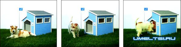 Собачья конура своими руками