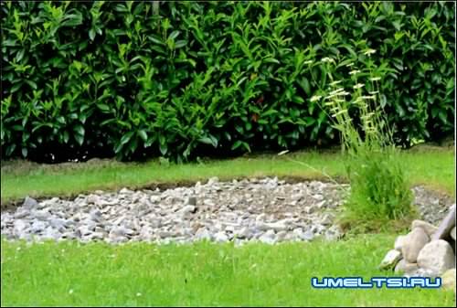 Спиральная грядка своими руками Спиральная грядка своими руками