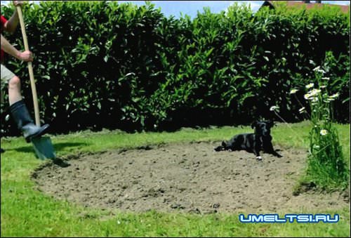 Спиральная грядка своими руками Спиральная грядка своими руками
